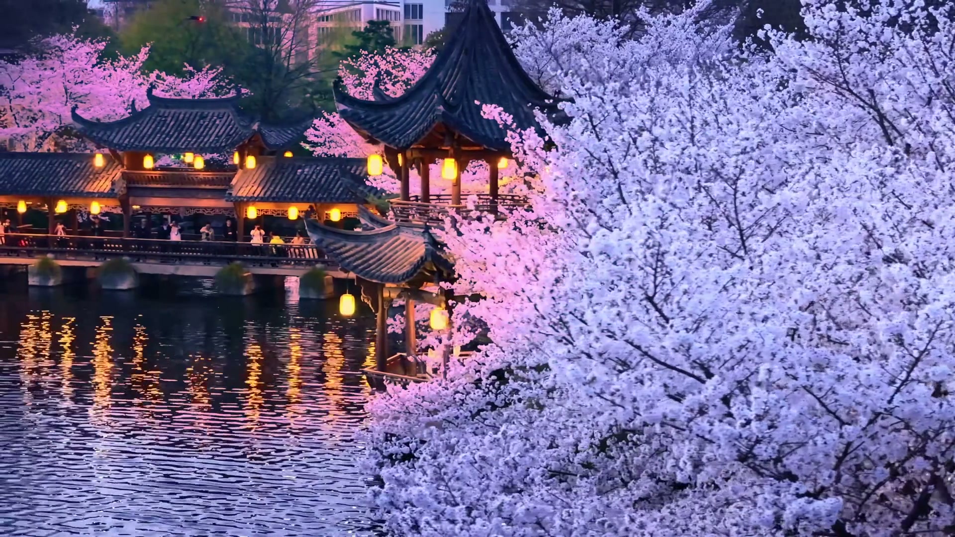 Hangzhou, China — The soul of poetic Jiangnan, blending ancient West Lake tea culture with modern vitality.